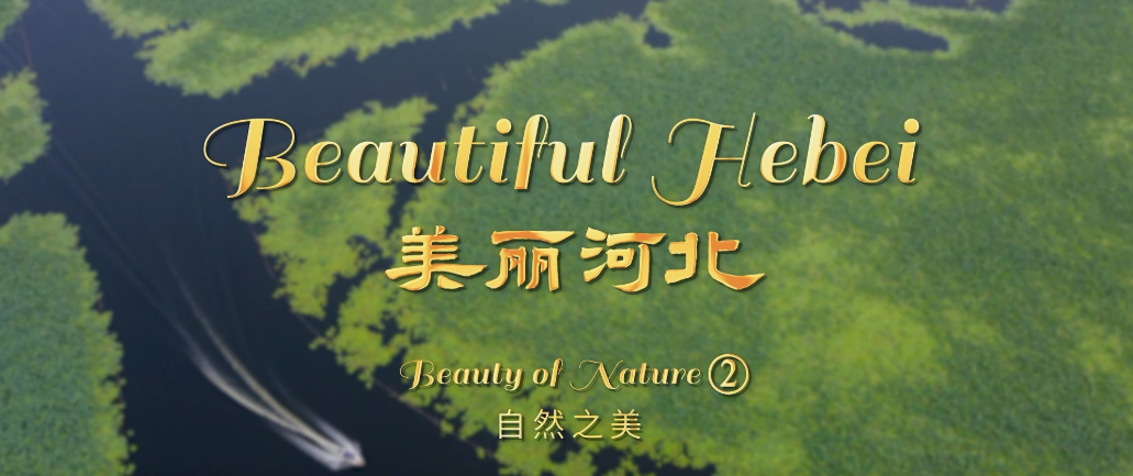 “beautiful hebei”short video series丨beauty of nature②