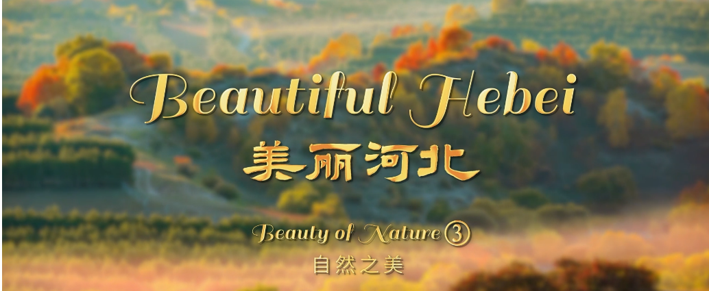 “beautiful hebei”short video series丨beauty of nature③