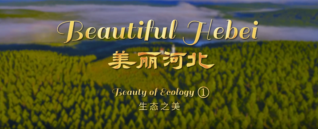 “beautiful hebei”short video series丨beauty of ecology①