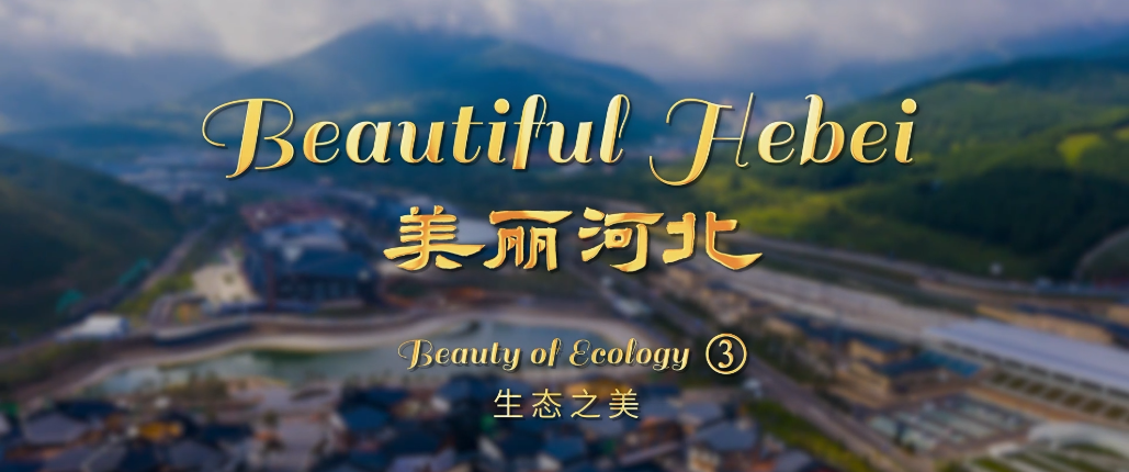 “beautiful hebei”short video series丨beauty of ecology③
